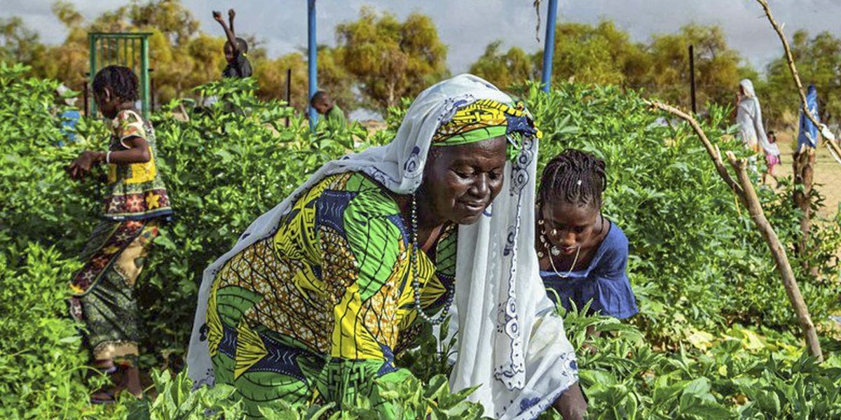 Faith in Action How Kingdom Outreach Is Helping Reduce Poverty Across U.S. Communities