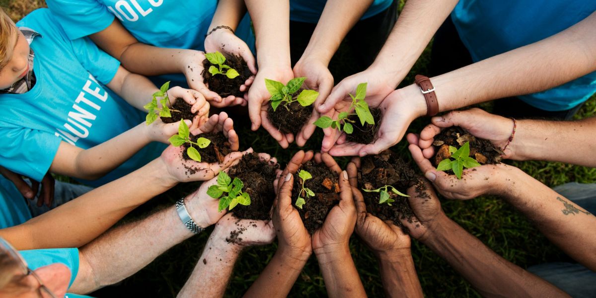 Joining Environmental Volunteer Movements Across the U.S. How You Can Make a Difference